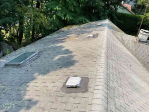 Old roof with damaged skylights