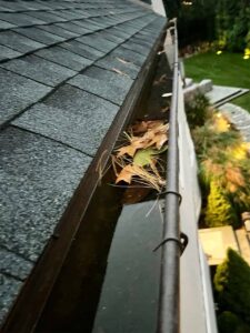 Water and debris in gutter