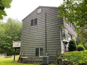 Damage to siding from pests