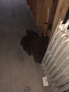 Wet floor from leak in roof