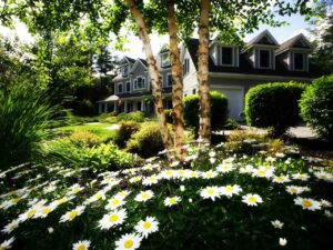 detail of flowers and shrubs in front yard of home