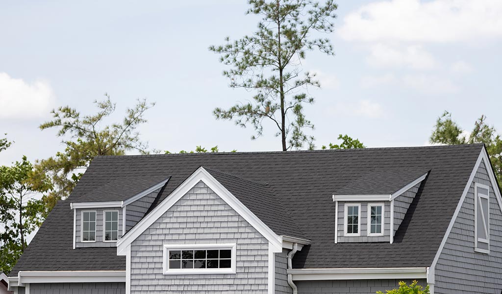 asphalt roof with trees behind