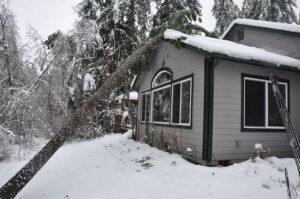 tree leaning onto roof in snow