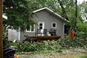 tree knocked over in front of home